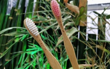 Pepsodent Luncurkan Sikat Gigi Bambu yang Ramah Lingkungan